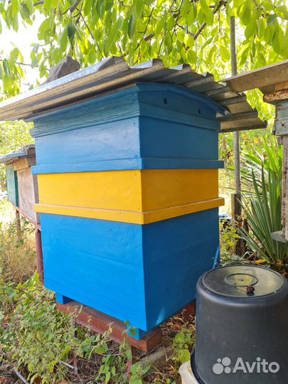 Улей для пчел