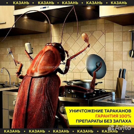 Уничтожение насекомых.Обработка тараканов и клопов