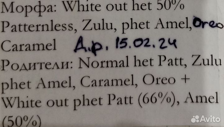 Геметиконикс