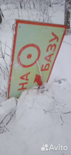 Инструктор по горным лыжам