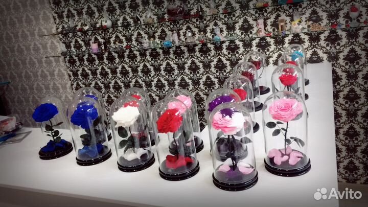 Живая Роза в колбе на 5 лет. Красавица и чудовище