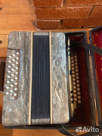 Гармонь шуя