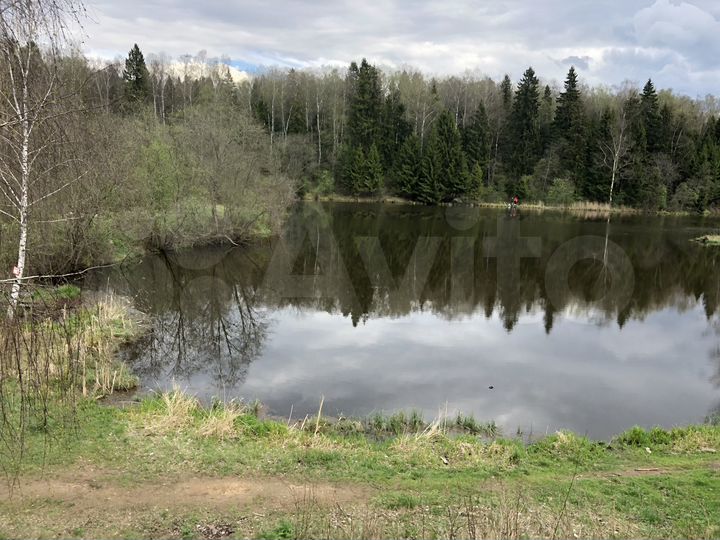 Участок 1,45 га (ИЖС)