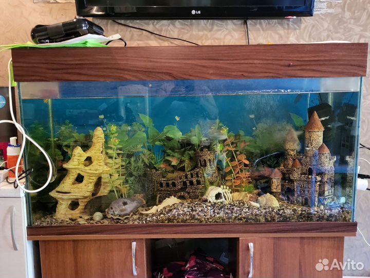 Аквариум 380л