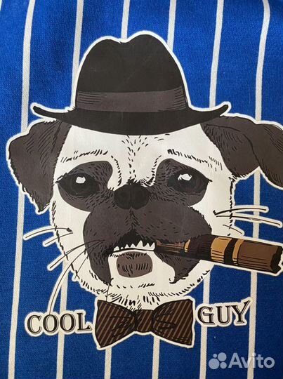 Толстовка на кнопках на французского бульдога