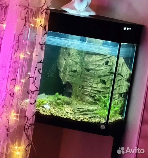 Аквариум
