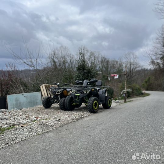 Motoland wild track 200