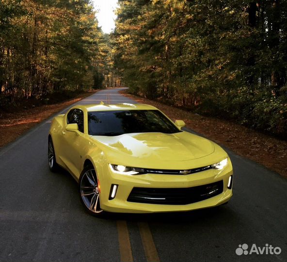 Маркетолог в сфере выкупа авто (Яндекс директ)