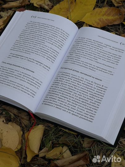 Ибн Каййим аль-Джаузийя. Избранное 2 том