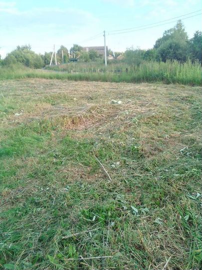 Участок 15,5 сот. (ИЖС)