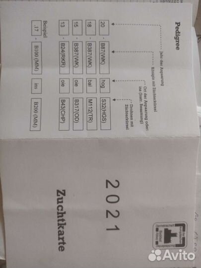 Матки, карника и бакфаст, пчелопакеты