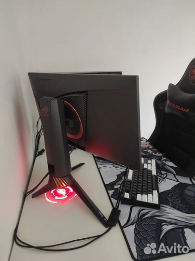 Монитор Asus pg258q 240гц