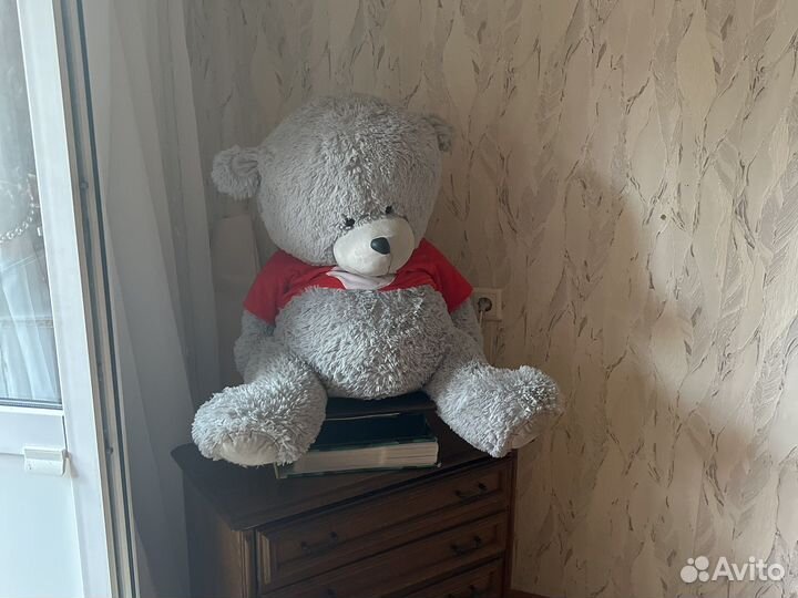 Плюшевый медведь