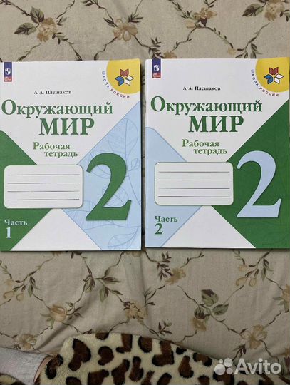 Рабочая тетрадь по окружающему миру 2 класс