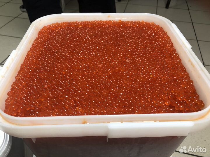 Икра красная 2023 год вылова