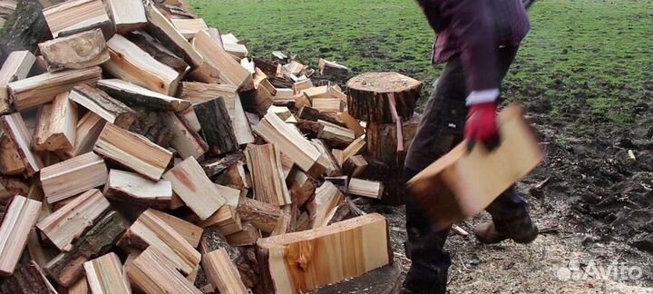 Дрова из леса