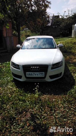 Трансфер межгород