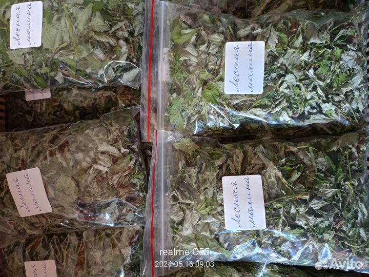 Цвет яблони, ирги, смородины, лист малины