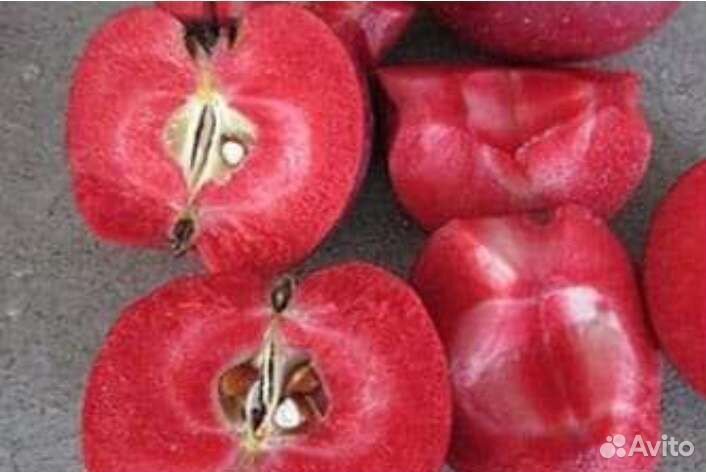 Яблони красномясые
