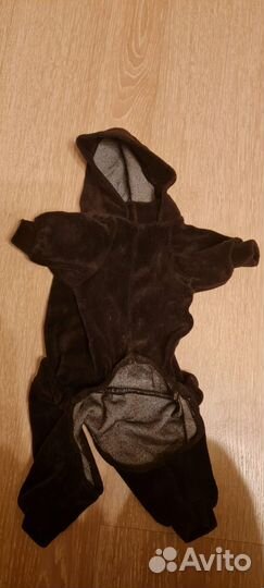 Костюм для маленькой собаки