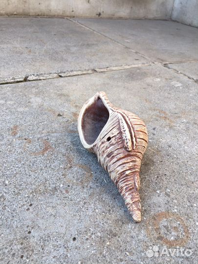 Для аквариума