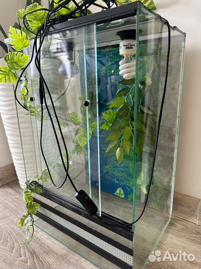 Террариум для рептилий бу