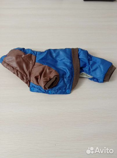 Одежда для мини собачек