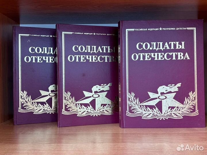 Солдаты отечества