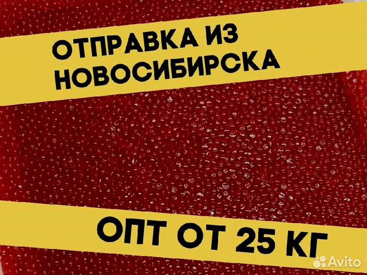 Красная икра кеты, улов июнь 2023