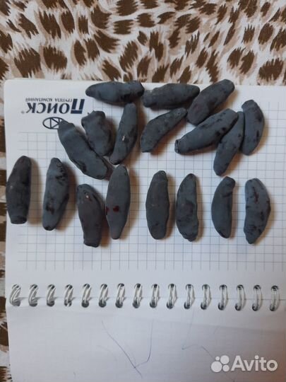 Вкусная жимолость