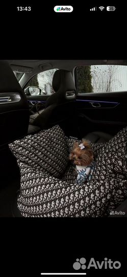 Автокресло для собак dior
