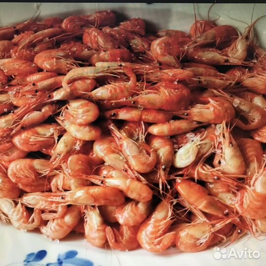 Креветка черноморская, азовская