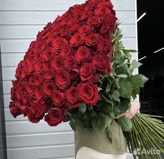 Розы 101 штука 80 см