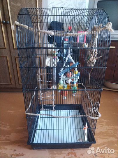 Клетка для крупного попугая