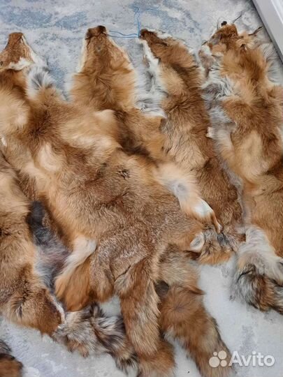 Шкуры (лиса) 9шт