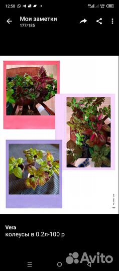 Вегетативные черенки