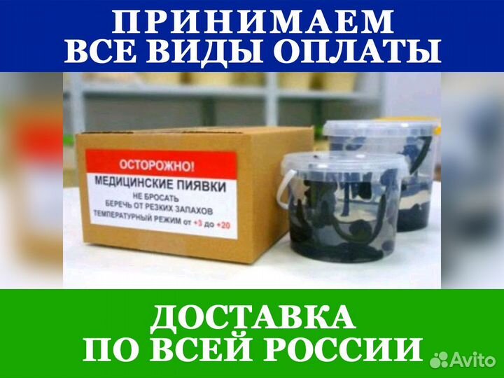 Пиявки сертифицированные доставка самовывоз