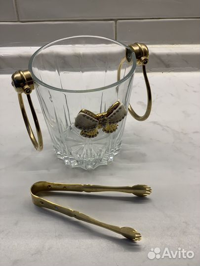 Ледница новая