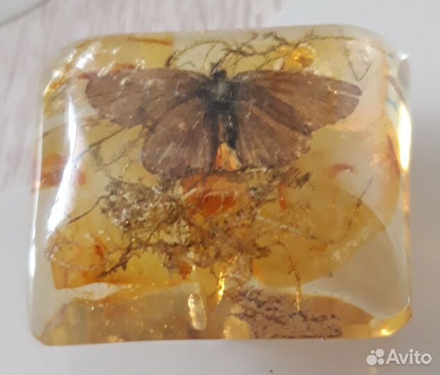 Насекомые в эпоксидной смоле. Винтажная штучка