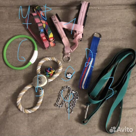 Товар для животных