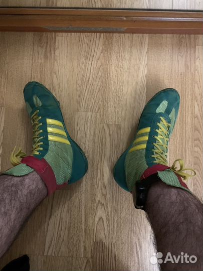 Борцовки попугайчики