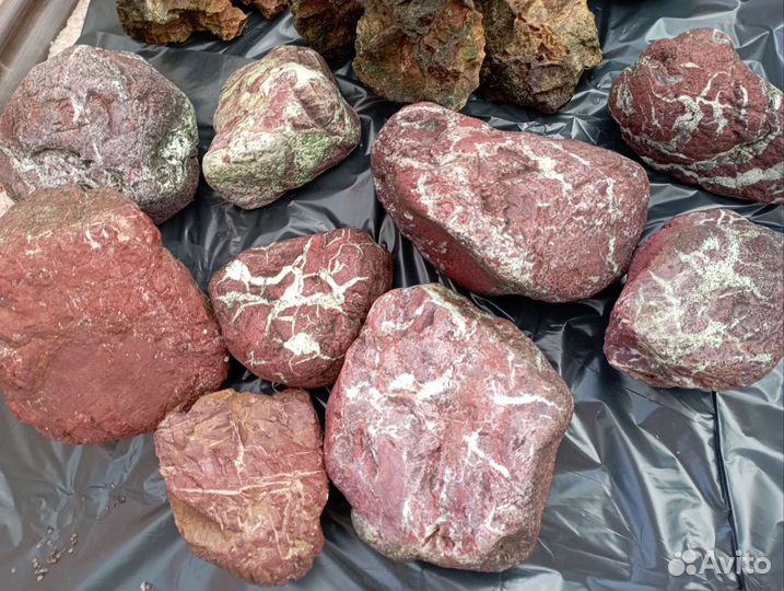 Аквариум BIOdesing altum 450,300