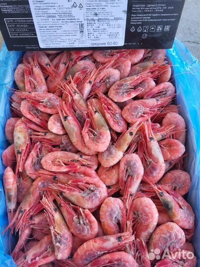Креветка магаданская (икорные )