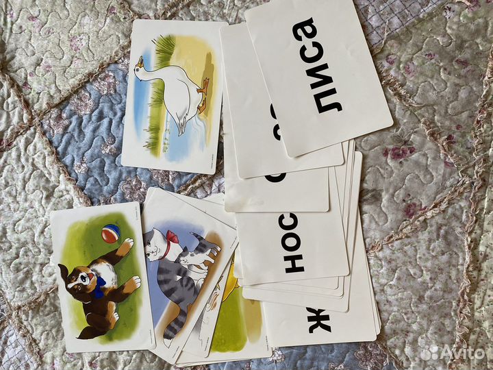 Чтение с пеленок «Умница»