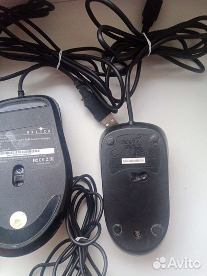 Мышка для компьютера