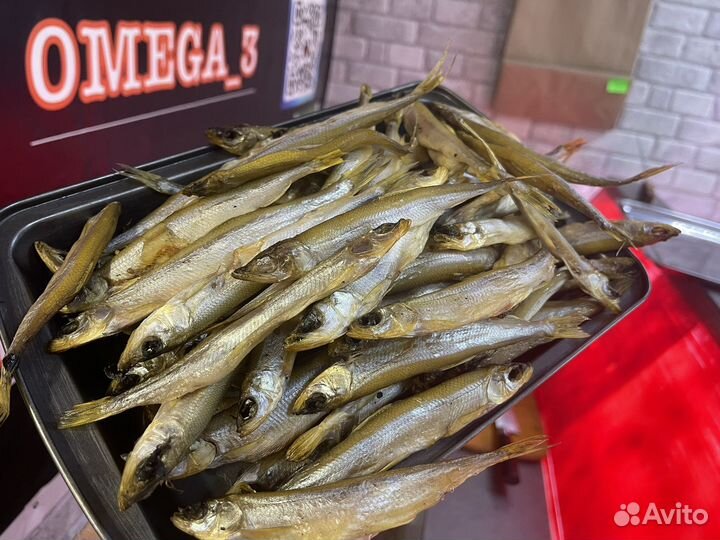 Холодное копчение лакедра,скумбрия,корюшка