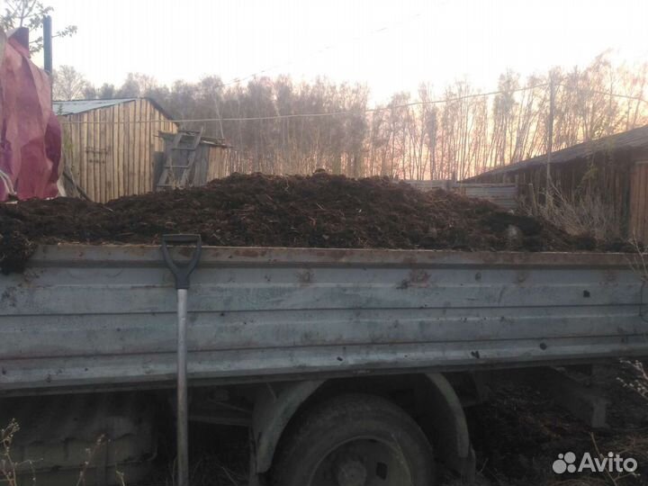 Перегной навоз