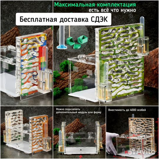 Муравьиные фермы с муравьями, доставка