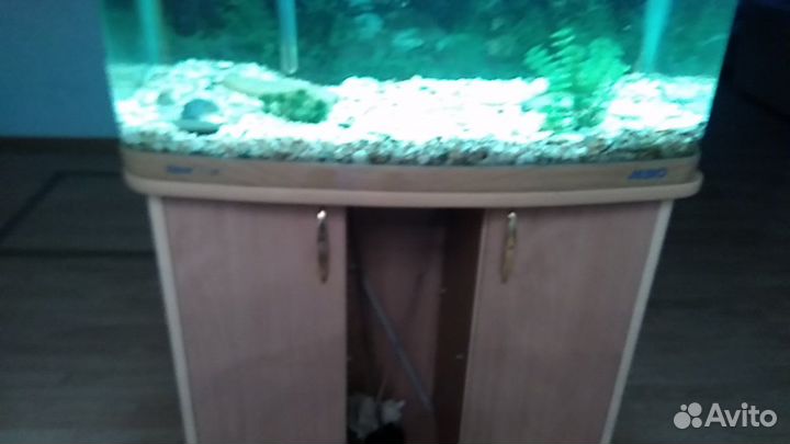 Тумба с аквариумом