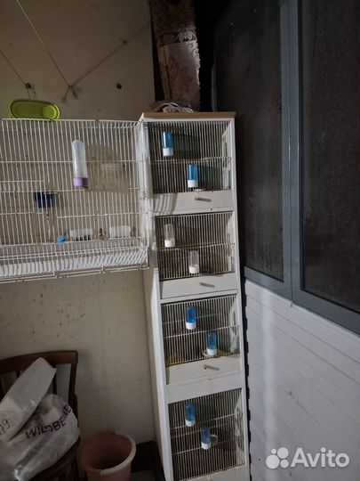 Клетка бокс для птиц